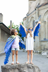 Celestial Dragon Jewel Soft Wings (Size 4-6)