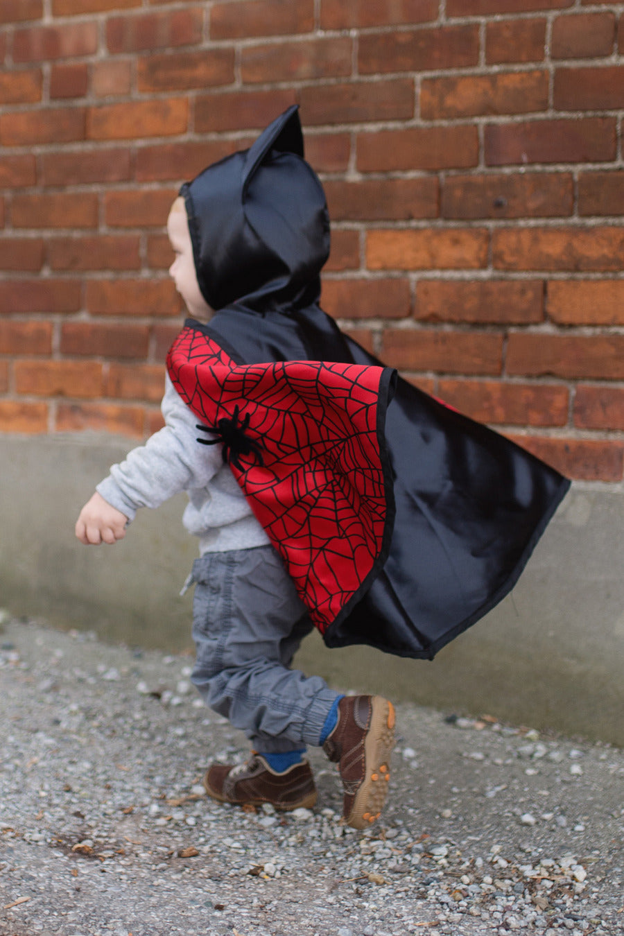 Toddler Reversible Spider Bat Cape -Size 2-3T