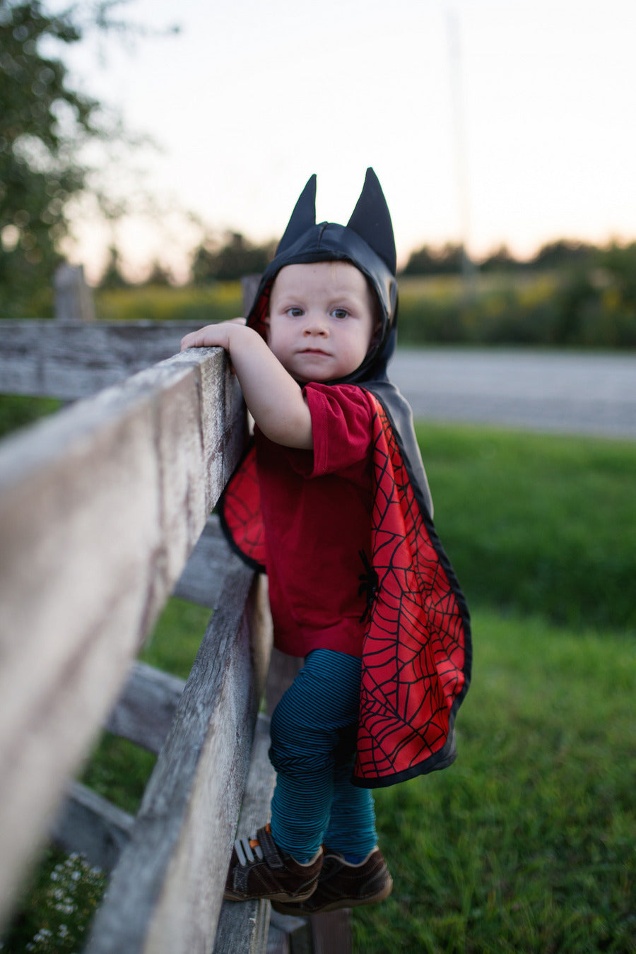 Toddler Reversible Spider Bat Cape -Size 2-3T