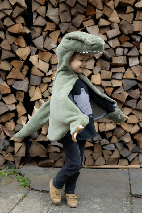 Green T-Rex Cuddle Cape (Size 2T)
