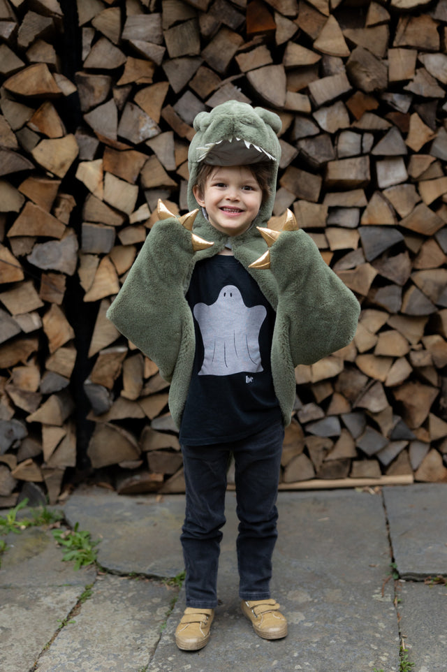 Green T-Rex Cuddle Cape (Size 3-4)