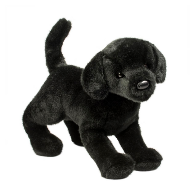 Douglas Chester Black Lab 16" Plush Dog