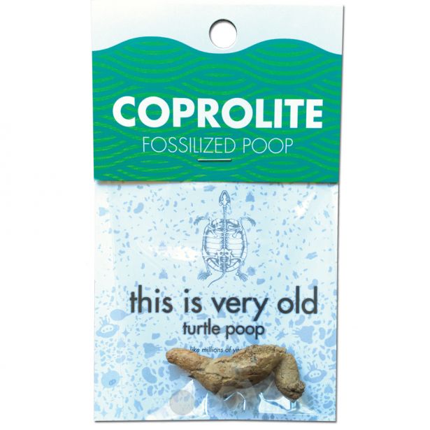 Coprolite (Fossilized Turtle Poop)