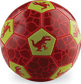 Tiny Soccer Ball - Dinosaur