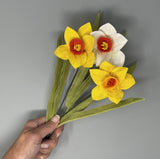 Daffodils Felt Flower Kit