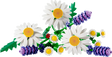 11508 Daisies - LEGO Botanical Collection LEGO®