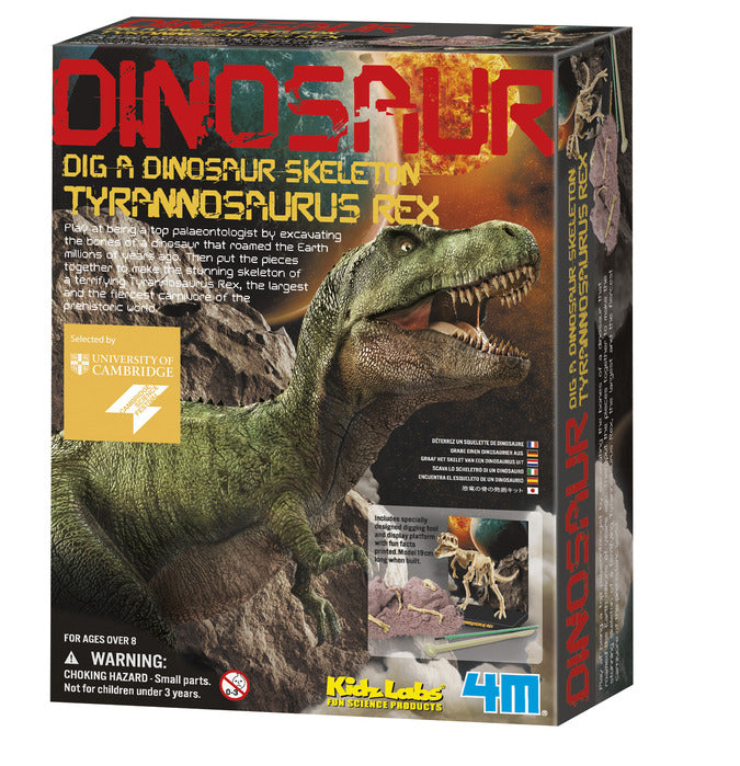 Dig a Dino -- Assorted Dinosaur Dig Kit