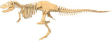 Giant Dinosaur Skeleton Kit