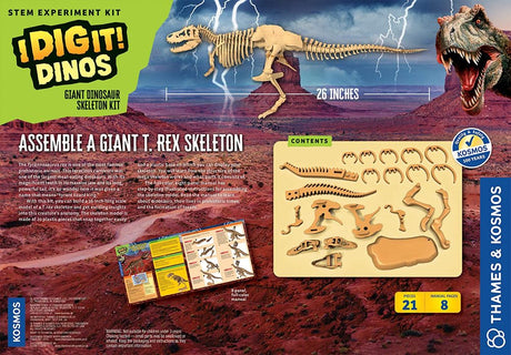 Giant Dinosaur Skeleton Kit