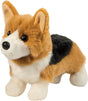 Gizmo Tri Color Corgi
