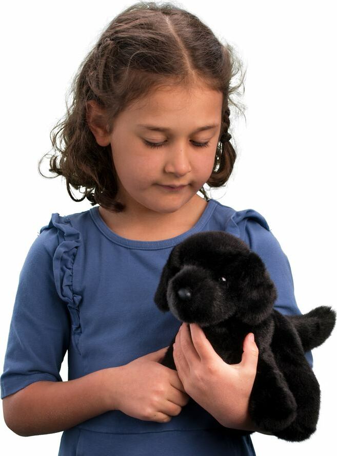 Bear Black Lab