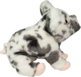 Zoinkie Soft Spotted Pig Douglas Toys