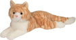Mango Orange Cat