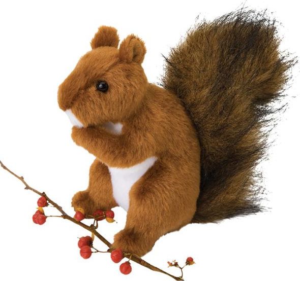 Roadie Red Squirrel