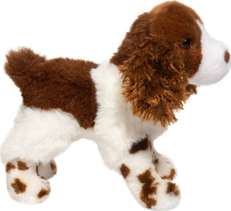 Flair Springer Spaniel