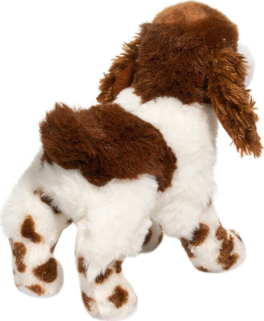 Flair Springer Spaniel