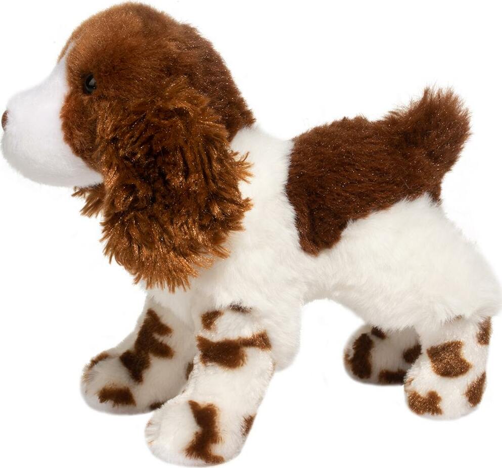 Flair Springer Spaniel