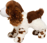 Flair Springer Spaniel