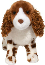 Flair Springer Spaniel