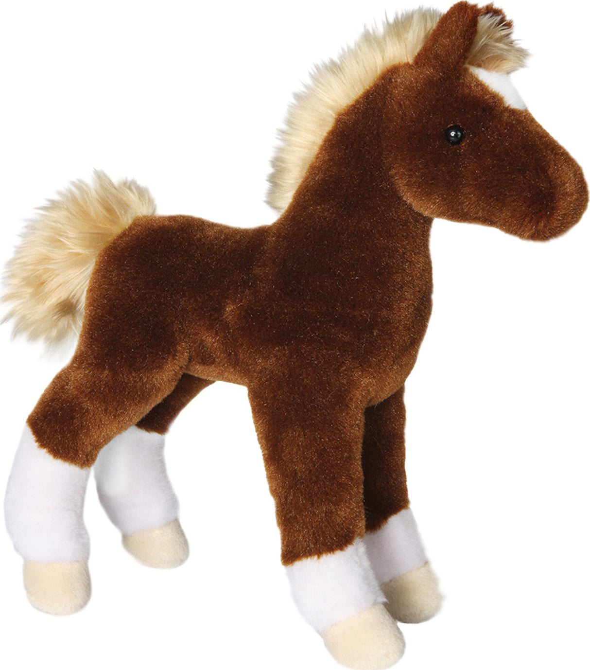 Teak Chestnut Foal