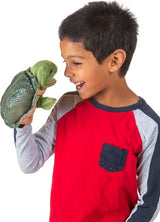 Little Turtle Puppet Folkmanis