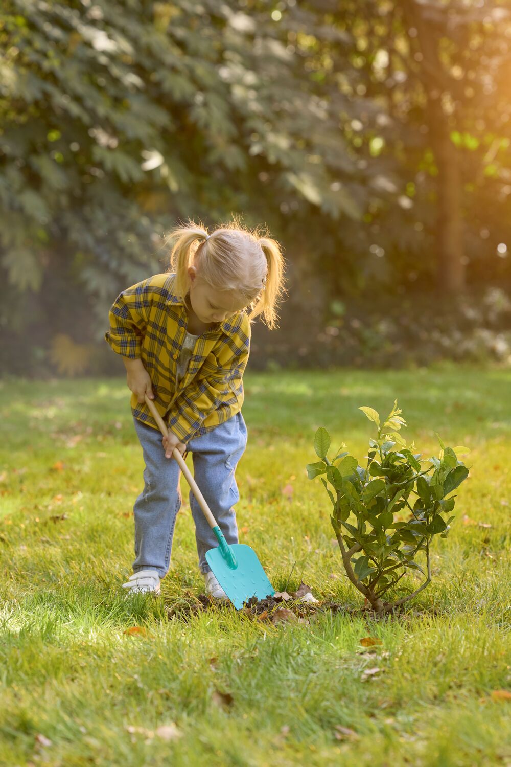 Garden Spade