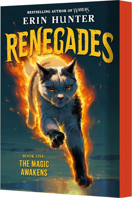 Renegades #1: The Magic Awakens