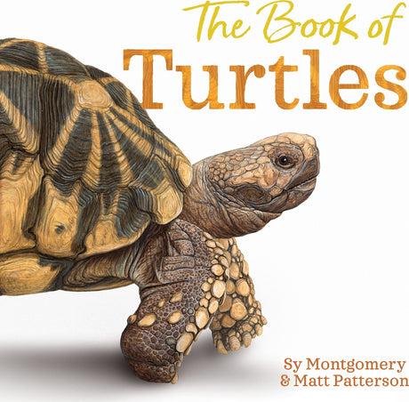 The Book of Turtles