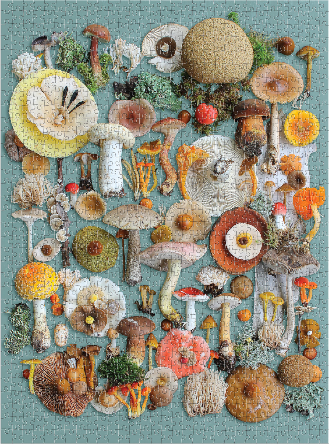 1000 Piece Puzzle, Foraged