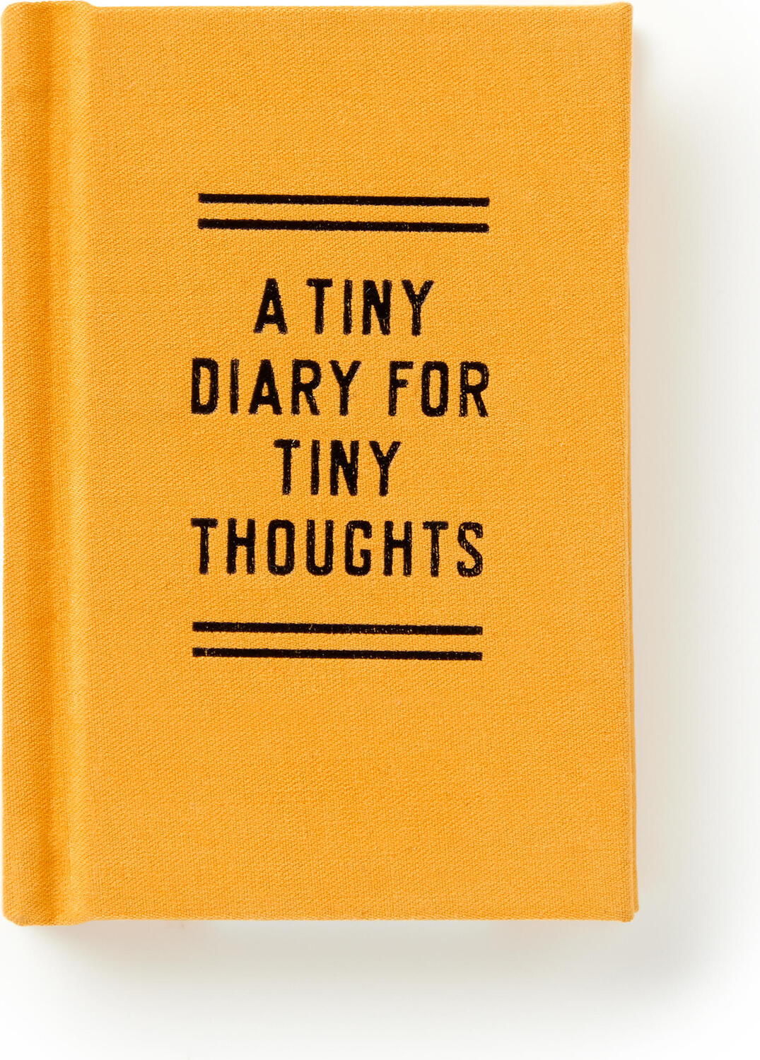 A Tiny Diary for Tiny Thoughts
