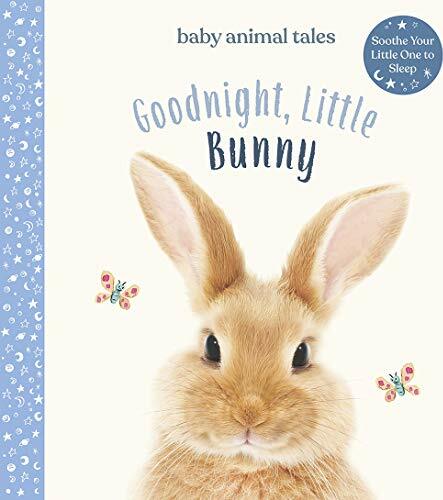Goodnight, Little Bunny: A Board Book
