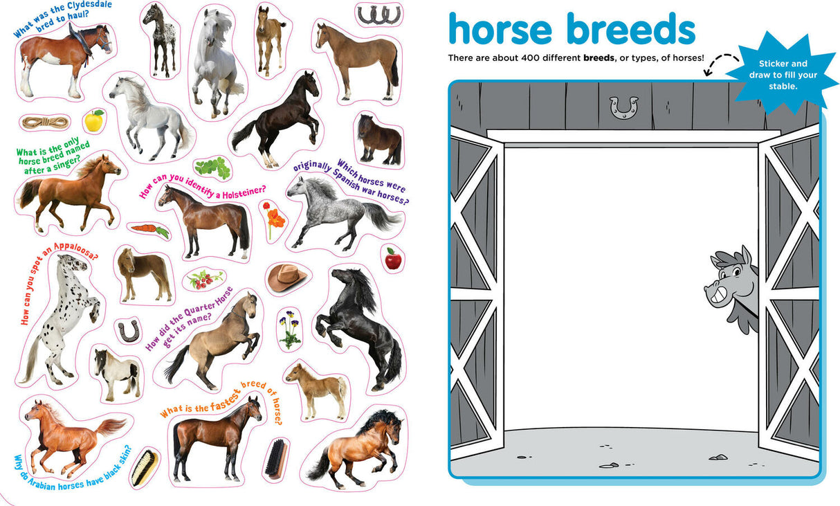 Peel + Discover: Horses