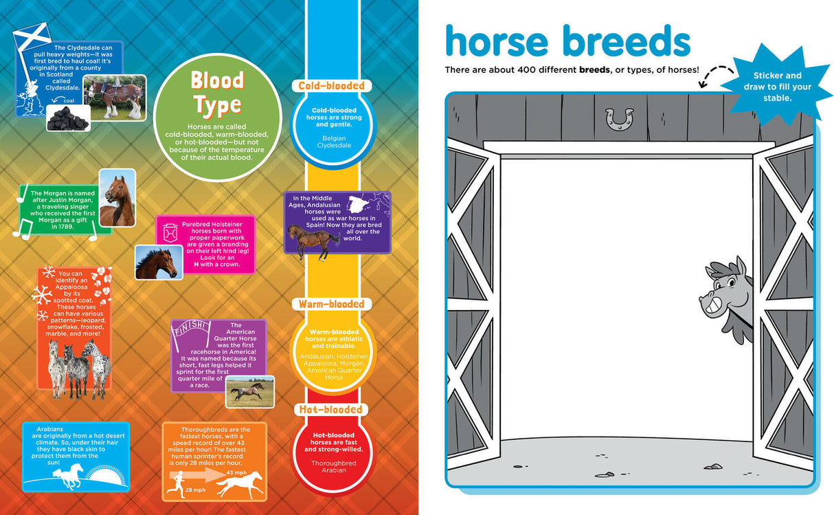 Peel + Discover: Horses