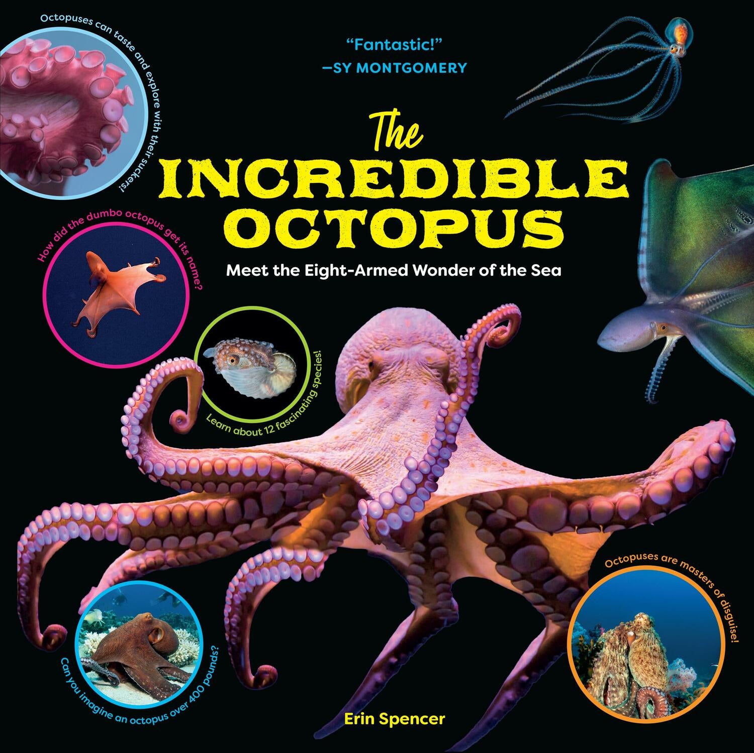 Tara Books   “The Undecided Octopus ” Tara Books “The Undecided Octopus ” Oozey Octopus: A Tale of
