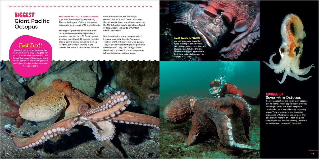 The Incredible Octopus: Meet the Eight-Armed Wonder of the Sea