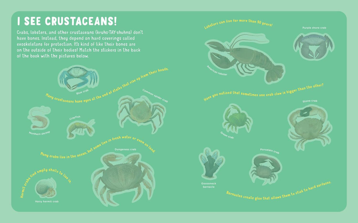 Backpack Explorer Stickers: Ocean Adventure: 200+ Stickers plus Play & Learn Activities