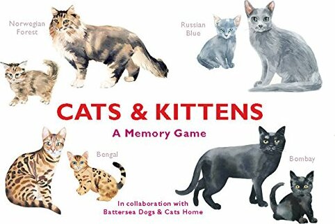 Cats & Kittens: A Memory Game