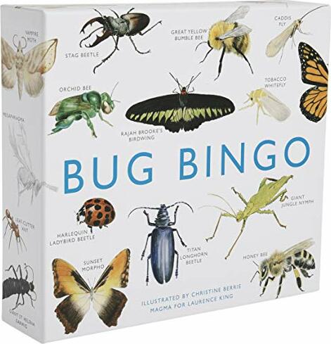 Bug Bingo