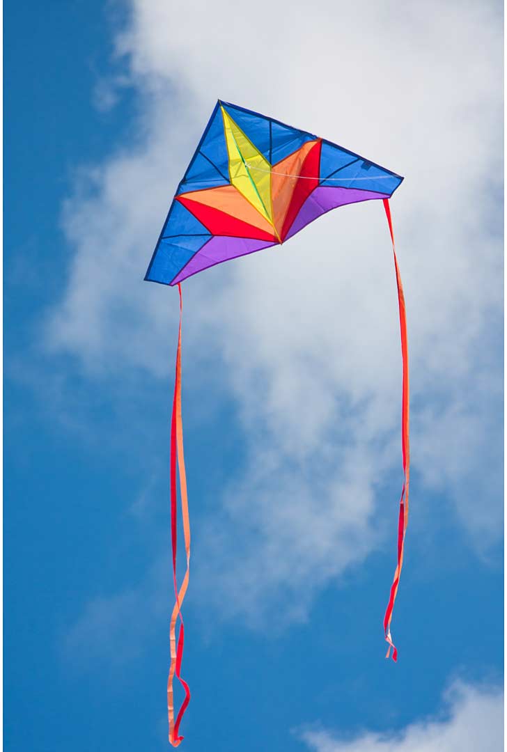 Delta Stern Kite