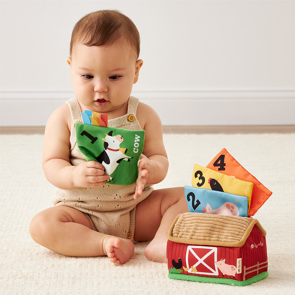 Itzy Sensory Scarves™ "Tissue” Box for Put-and-Take Play (Farm Friends) Itzy Ritzy