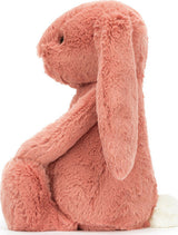 Bashful Sorrel Bunny