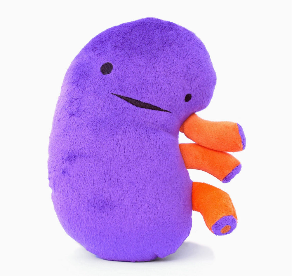 Kidney Plush - I Heart Guts