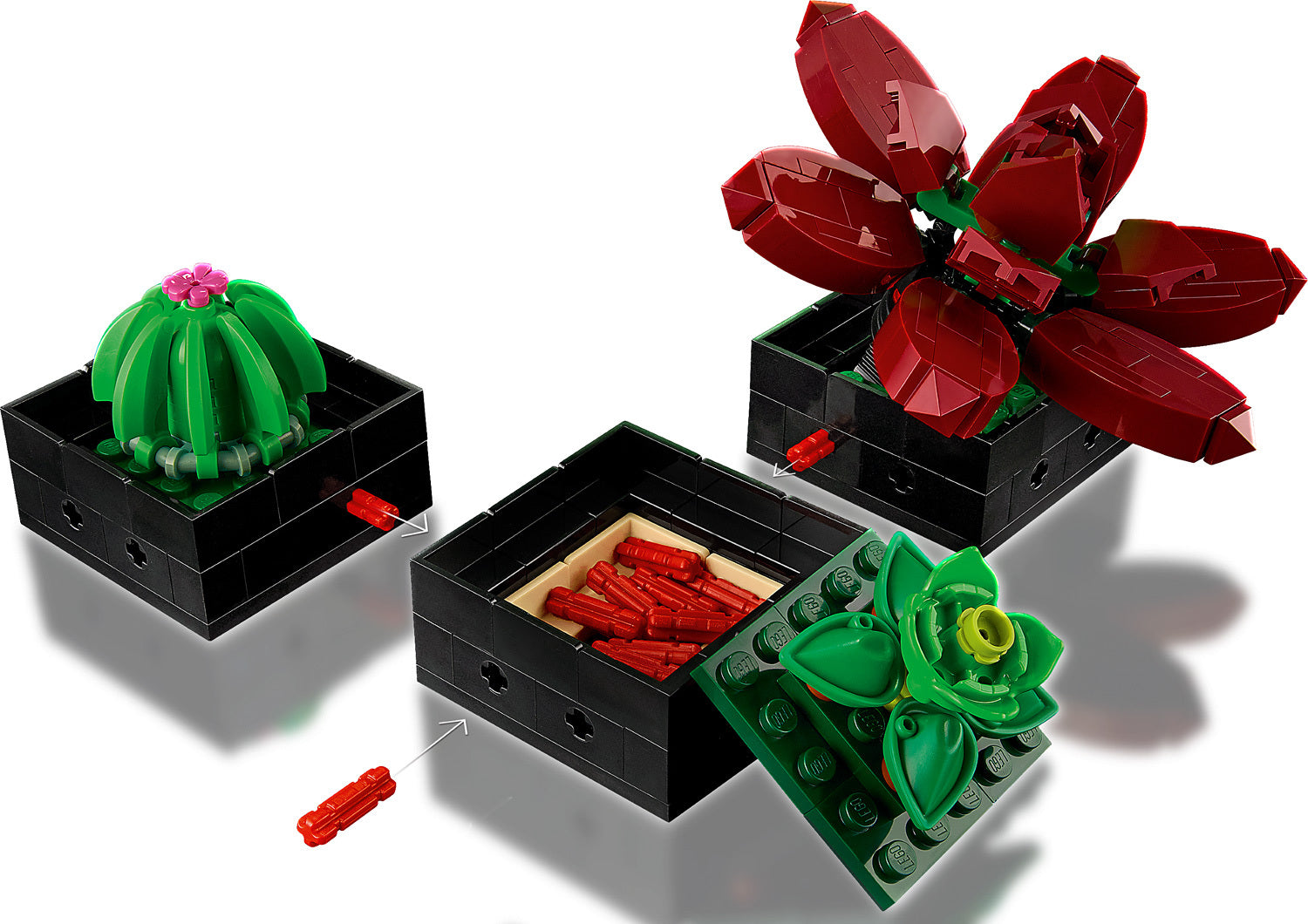 10309 Succulents - LEGO Icons – Pufferbellies Toys & Books