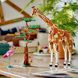 31150 Wild Safari Animals - LEGO Creator