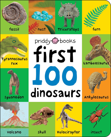 First 100: First 100 Dinosaurs MacMillan