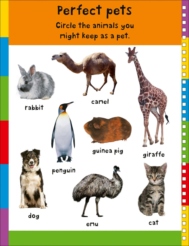 First 100 Play Book: A First 100 Words Wipe-Clean Activity Book