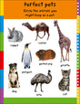 First 100 Play Book: A First 100 Words Wipe-Clean Activity Book