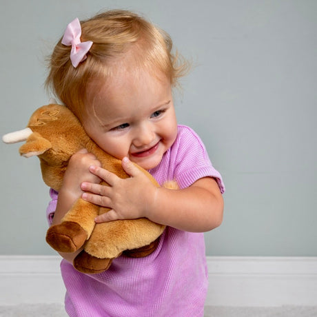 Hetty Highland Cow Soft Toy - 10" Mary Meyer Stuffed Toys