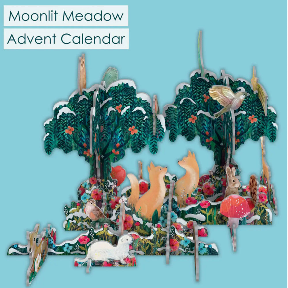 Moonlit Meadow Pop and Slot Advent Calendar