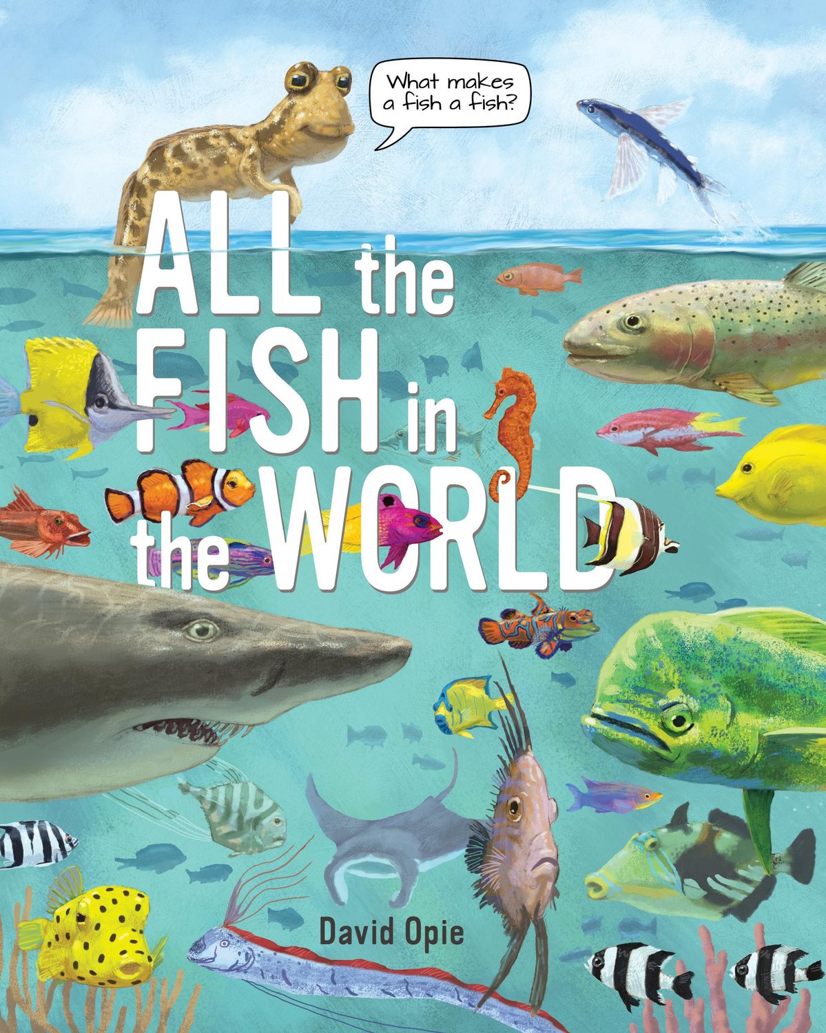 All The Fish In The World